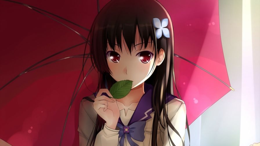 Rea Sanka HD Wallpaper