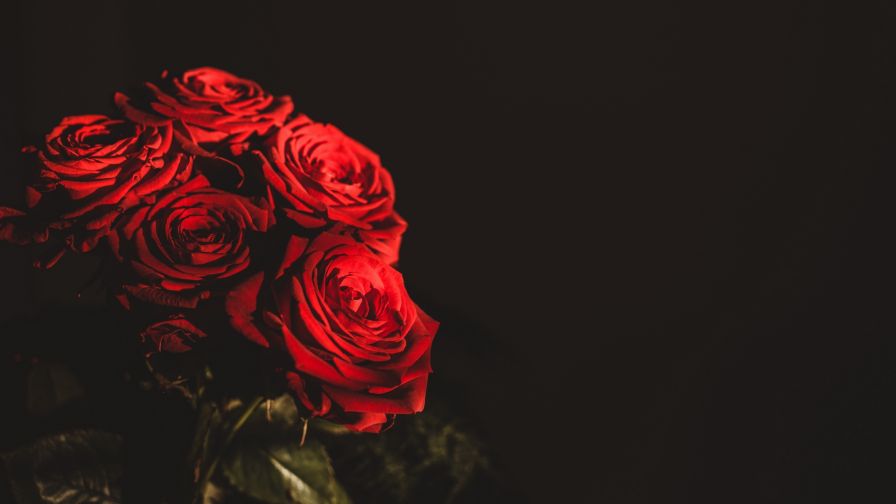 Red roses bouquet HD Wallpaper