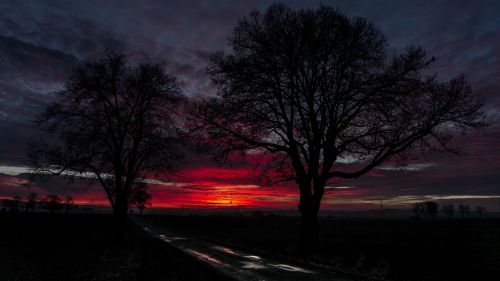 Red sunset over horizon HD Wallpaper