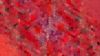 Red tiled surface HD Wallpaper