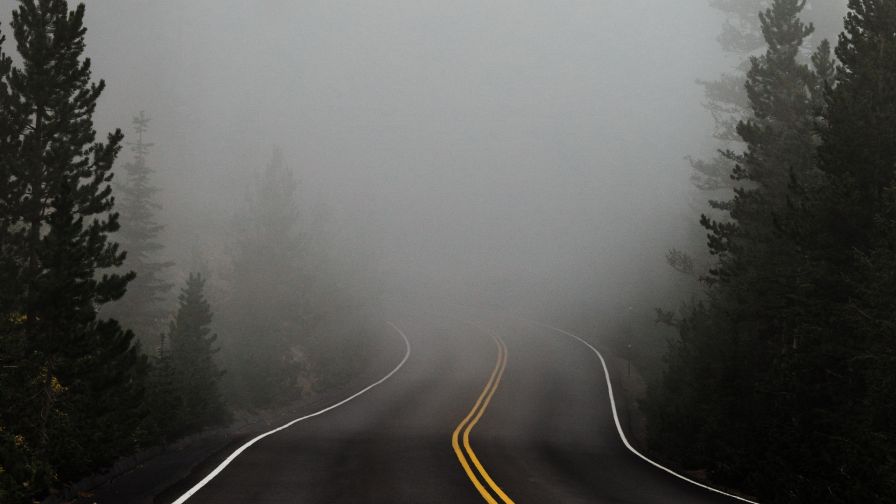 Road covereed in fog HD Wallpaper