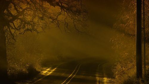 Road during nighttime HD wallpaper