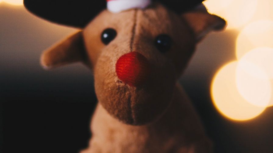 Rudolph Plush Toy HD Wallpaper