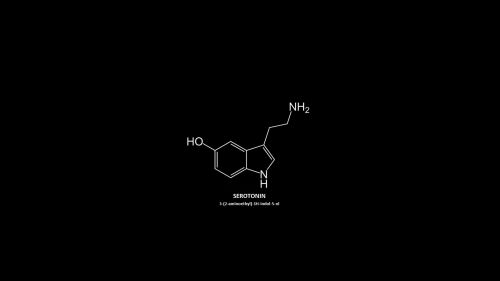 Serotonin HD Wallpaper