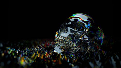 Shiny skull HD Wallpaper