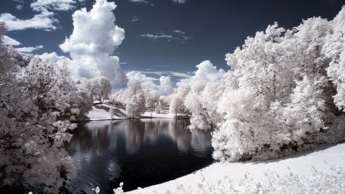 Snow covered trees HD Wallpaper