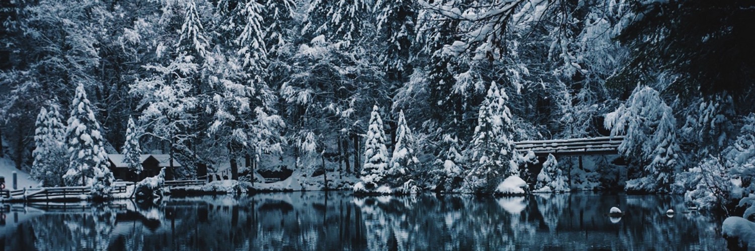 Snowing over the lake HD Wallpaper