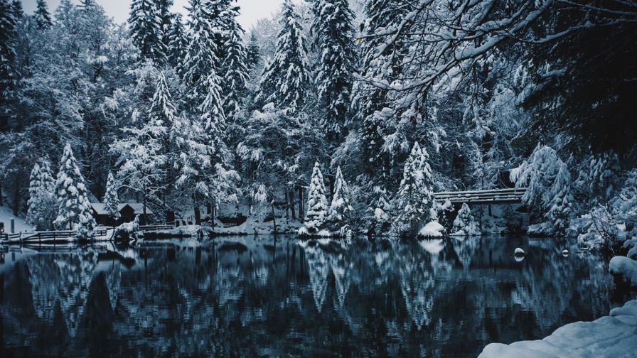 Snowing over the lake HD Wallpaper