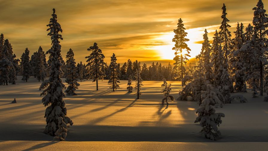 Snowy sunset HD Wallpaper