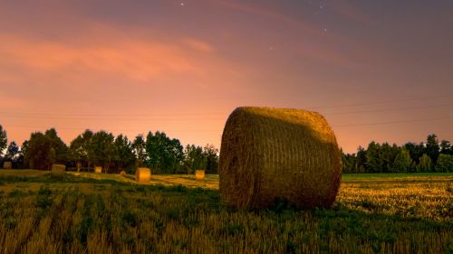 Stack of hay HD Wallpaper