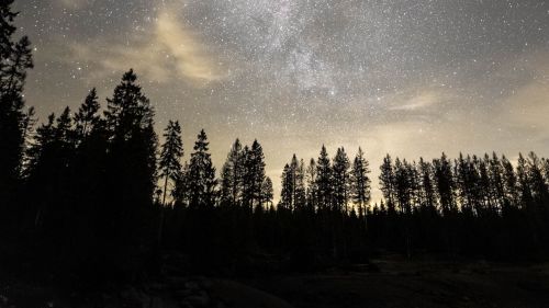 Stars on the Milky Way HD Wallpaper