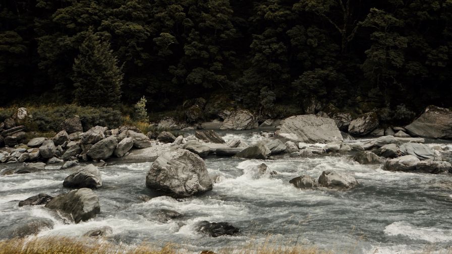 Stones in the river HD Wallpaper