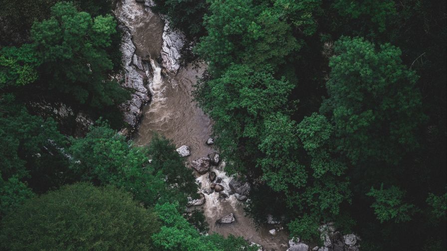 Stones inside the river HD Wallpaper