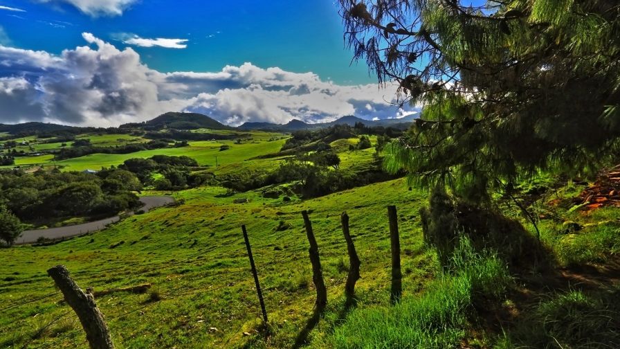 Summer contrasts HD Wallpaper