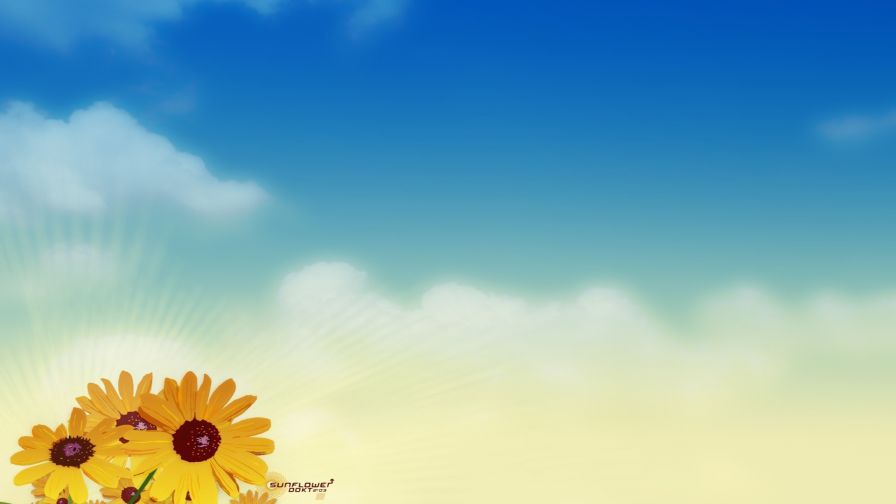 Sunflowers HD Wallpaper