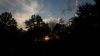 Sunlight covered by trees HD Wallpaper