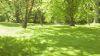 Sunny Lawn  HD Wallpaper