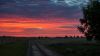 Sunrise at a grassy road HD Wallpaper