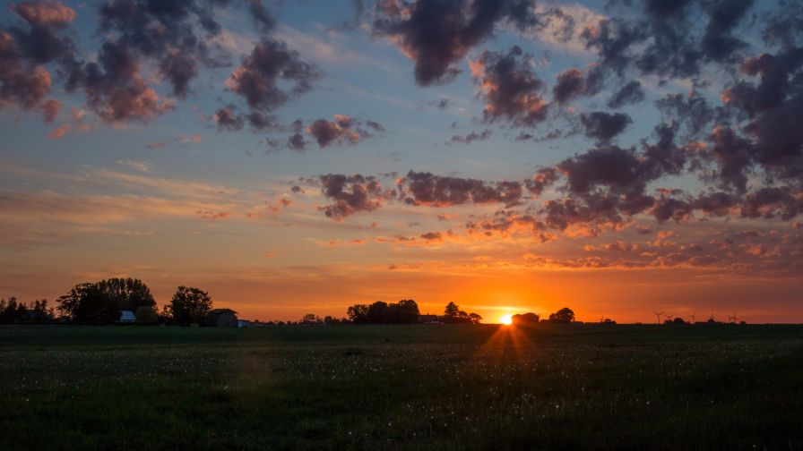 Sunset over a grassy field HD Wallpaper