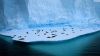 The Beauty of the North Pole HD Wallpaper