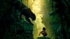 The Jungle Book Movie Hd Wallpaper for Desktop and Mobiles