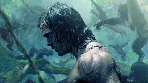 The legend of tarzan HD Wallpaper