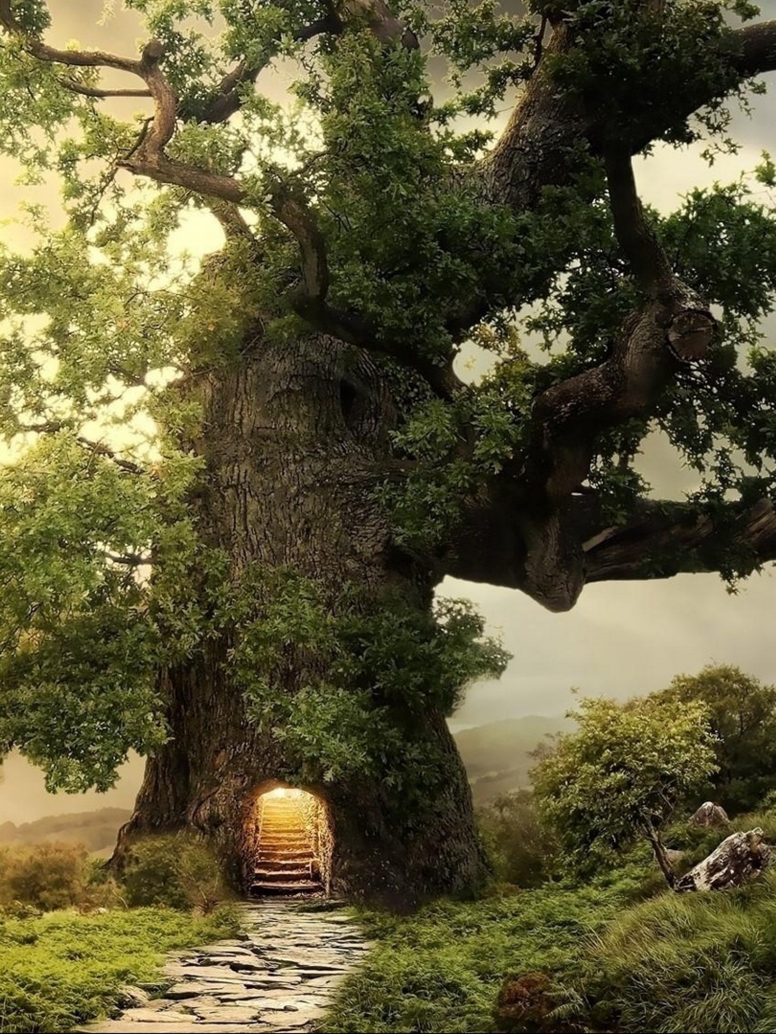 Tree entrance HD Wallpaper