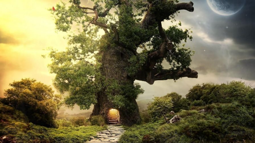 Tree entrance HD Wallpaper