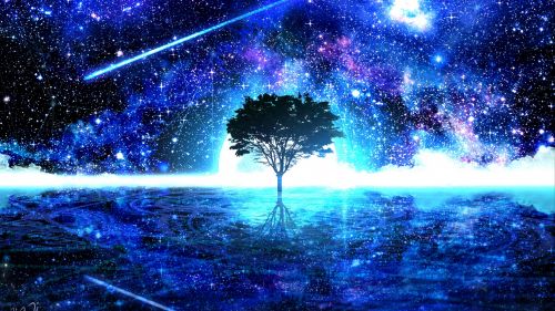 Tree under a starry sky HD Wallpaper