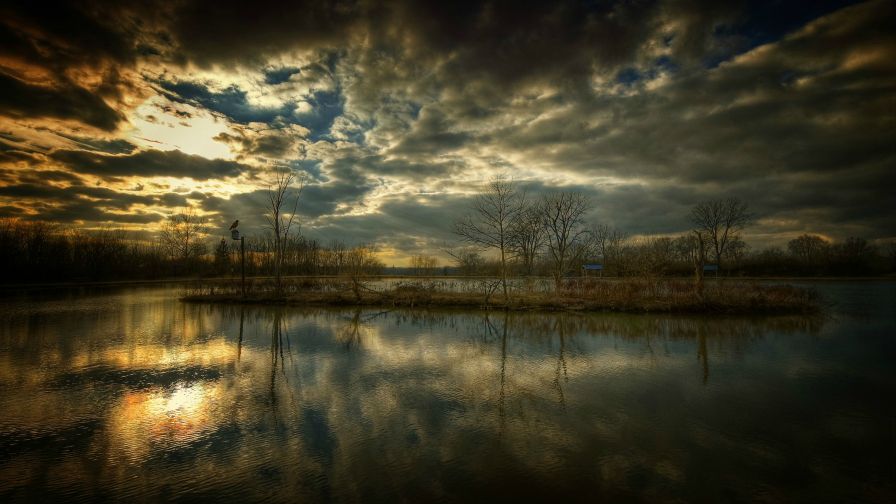 Trees Surrounded by Water and Sunset