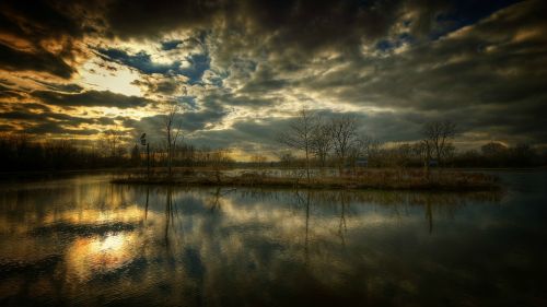 Trees Surrounded by Water and Sunset