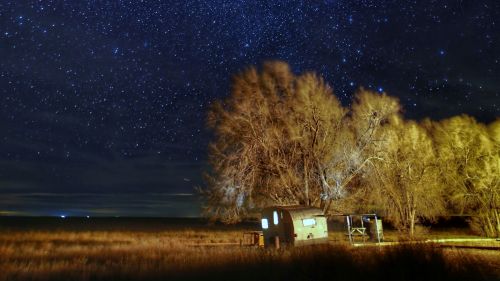 Trees under a beautiful night  sky HD Wallpaper