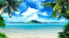 Tropical Ocean Island Palm Trees HD Wallpaper