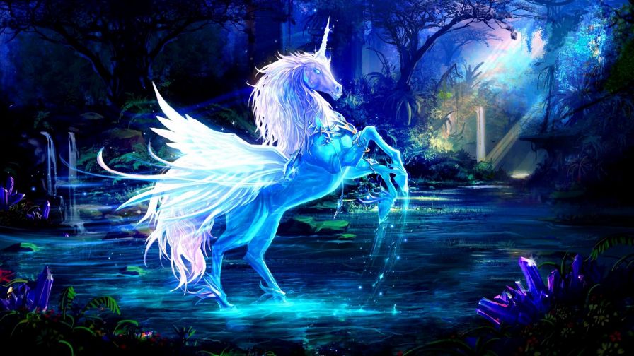 Unicorn in the water HD Wallpaper