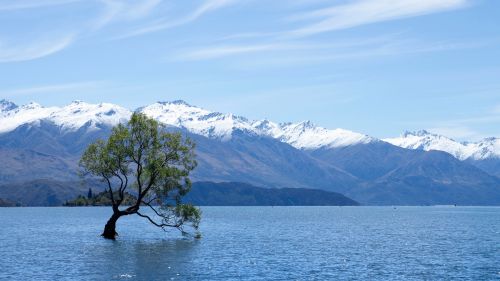 Wanaka lake HD Wallpaper