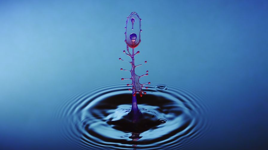 Water drop HD Wallpaper