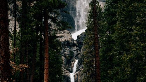 Waterfall flowing through the trees HD Wallpaper