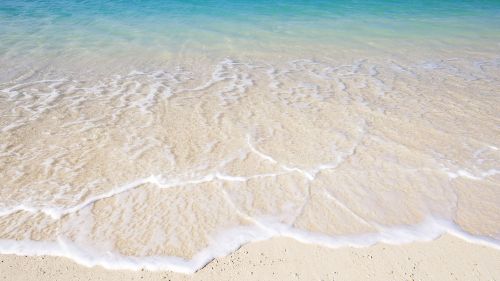 White Sand Beaches HD Wallpaper