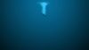 Why Does My Body Sink HD Wallpaper available in different dimensions
