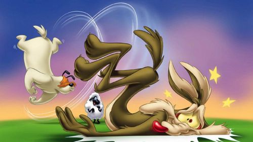 Wile E. Coyote vs Sam Sheepdog HD Wallpaper