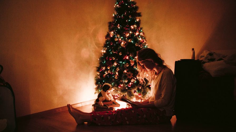 Woman Sitting Near the Christmas Tree HD Wallpaper