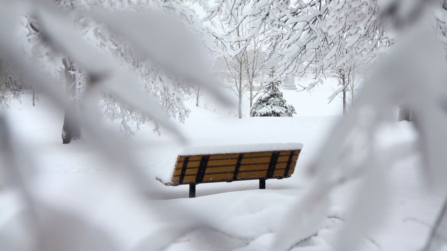 Wooden bench covered in snow HD Wallpaper