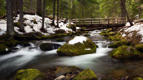 Wooden bridge over forest in winter HD Wallpaper