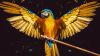 Yellow parrot with open wings HD Wallpaper